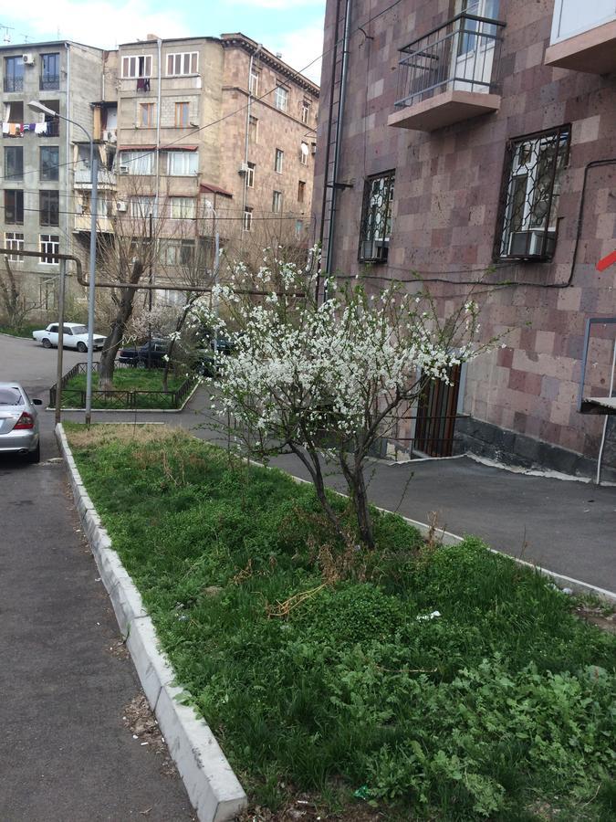Apartment In The Center Of Yerevan Ngoại thất bức ảnh